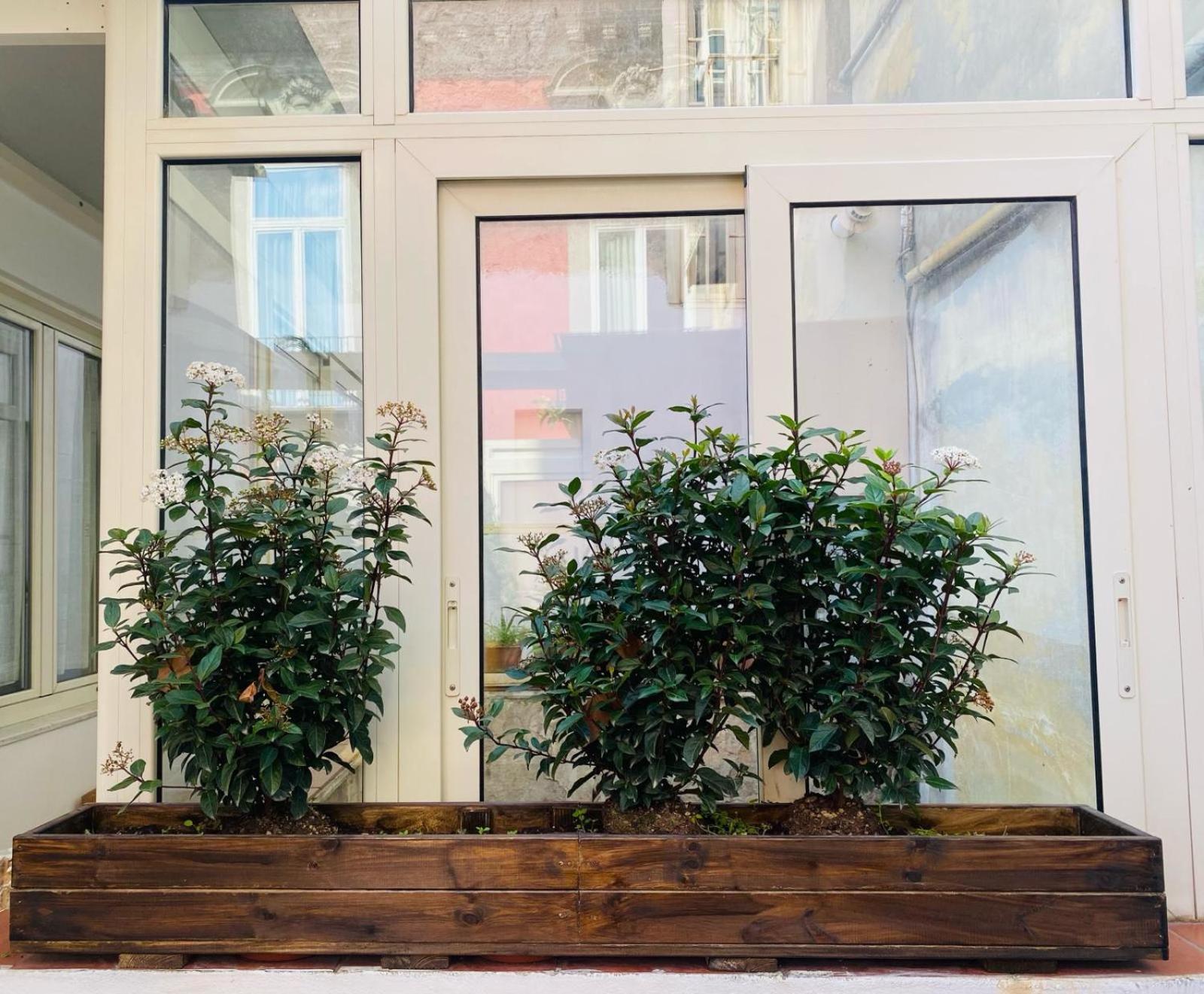 La Casa Di Apollo Apartment Napoli Bagian luar foto